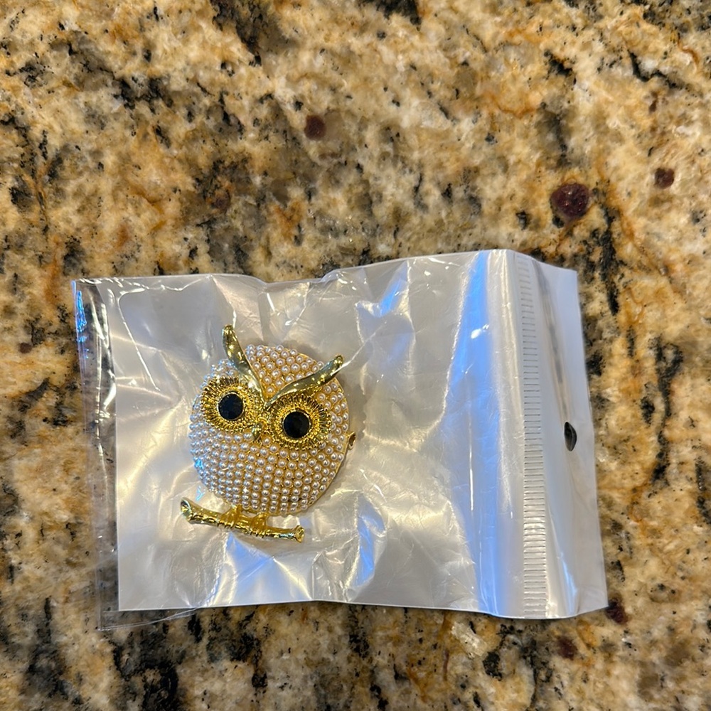 Owl broach/pin